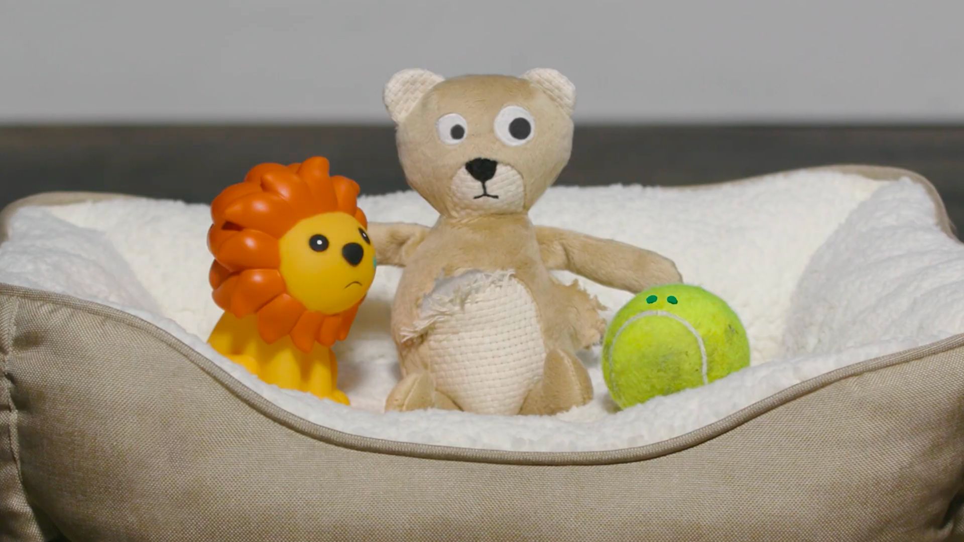 Assortment of well-used dog toys including a lion, torn teddy bear, and tennis ball in a plush tan dog bed